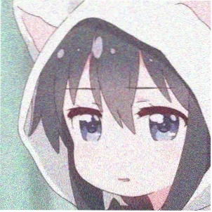 动漫收藏家